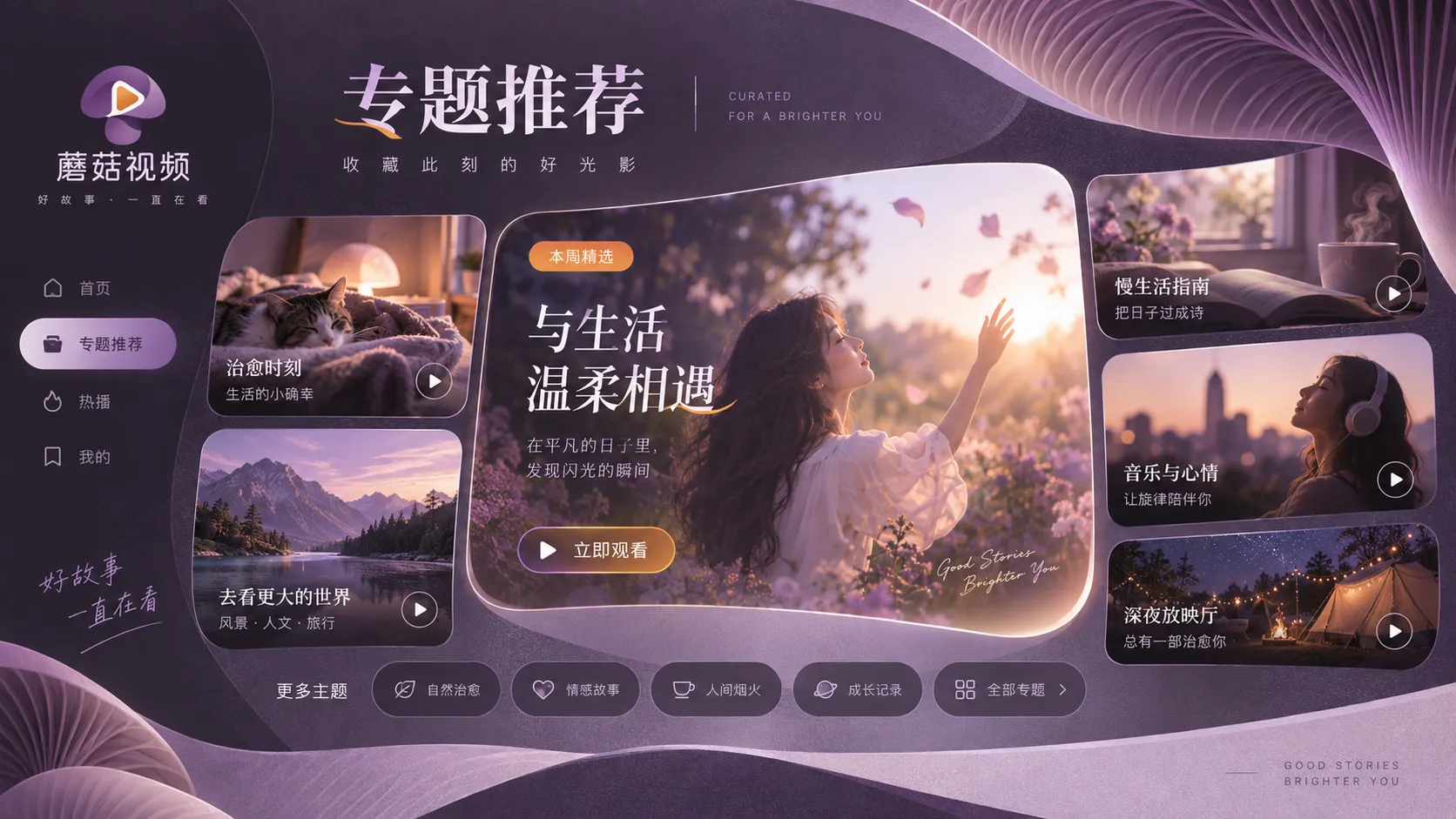 蘑菇视频人物关系与叙事节奏主题专题